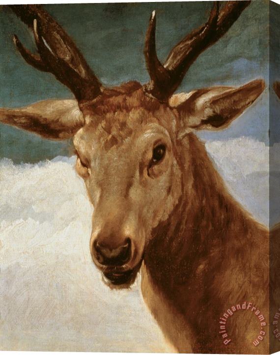Diego Rodriguez de Silva y Velazquez Head of a Stag Stretched Canvas Painting / Canvas Art