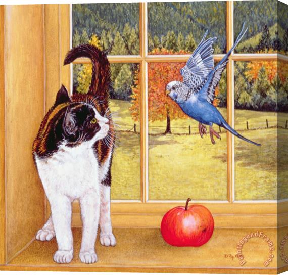 Ditz Bird Watching Stretched Canvas Painting / Canvas Art