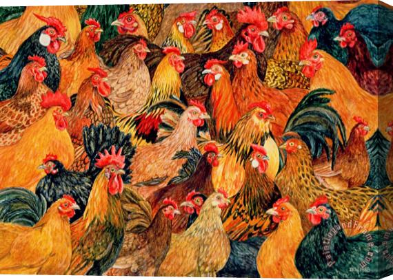 Ditz Fine Fowl Stretched Canvas Painting / Canvas Art