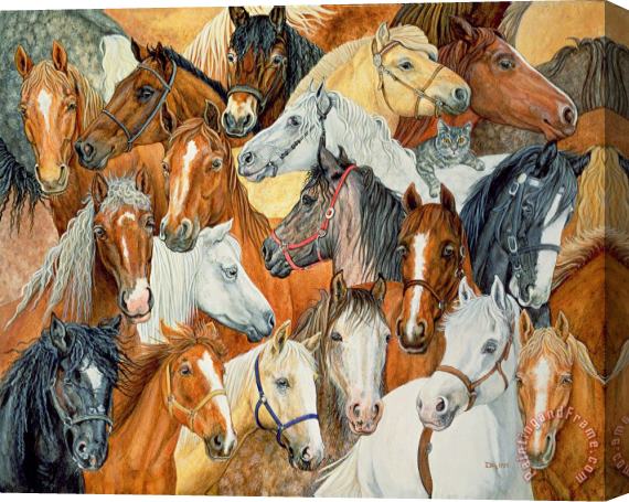Ditz Horse Blanket Stretched Canvas Print / Canvas Art