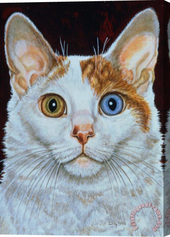 Ditz Minette Stretched Canvas Painting / Canvas Art
