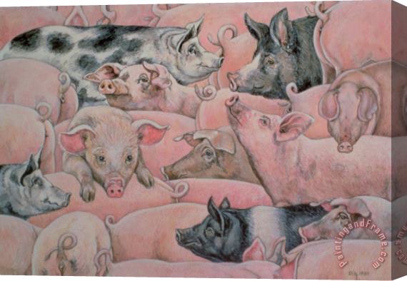 Ditz Pig Spread Stretched Canvas Painting / Canvas Art