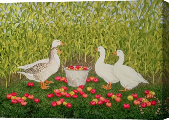 Ditz Sweetcorn Geese Stretched Canvas Painting / Canvas Art