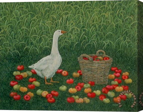 Ditz The Apple Basket Stretched Canvas Painting / Canvas Art