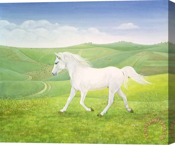 Ditz The Landscape Horse Stretched Canvas Painting / Canvas Art