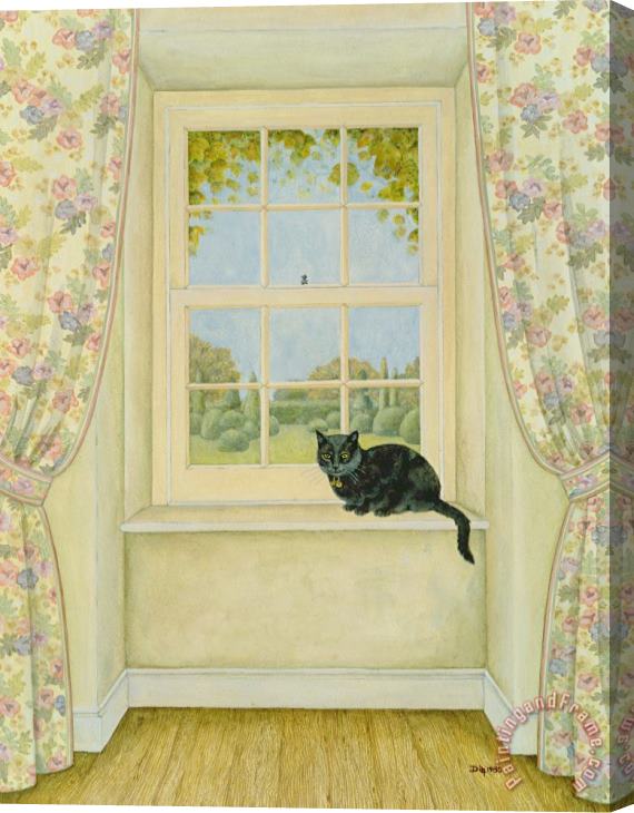 Ditz The Window Cat Stretched Canvas Print / Canvas Art