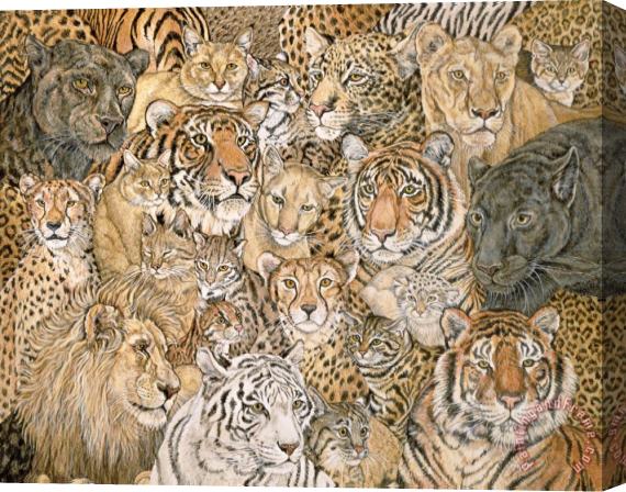 Ditz Wild Cat Spread Stretched Canvas Print / Canvas Art