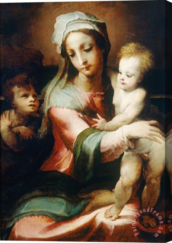 Domenico Beccafumi Madonna And Child with Infant John The Baptist Stretched Canvas Painting / Canvas Art