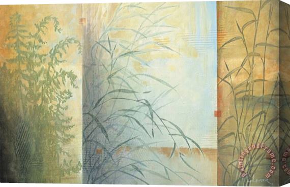 don li leger Ferns And Grasses Stretched Canvas Print / Canvas Art