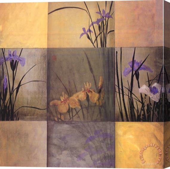 don li leger Iris Nine Patch Stretched Canvas Print / Canvas Art
