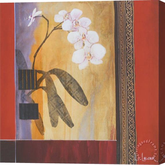 don li leger Orchid Lines I Stretched Canvas Painting / Canvas Art