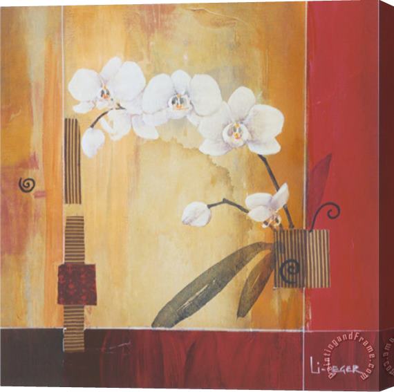 don li leger Orchid Lines Ii Stretched Canvas Painting / Canvas Art