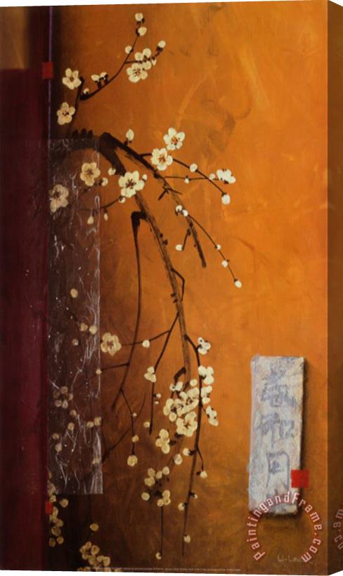 don li leger Oriental Blossoms Iii Stretched Canvas Painting / Canvas Art