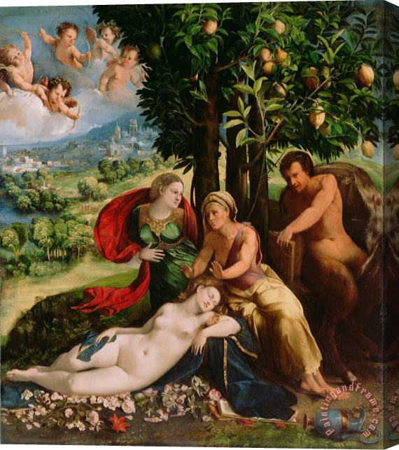 Dosso Dossi Mythological Scene 1524 Stretched Canvas Painting / Canvas Art