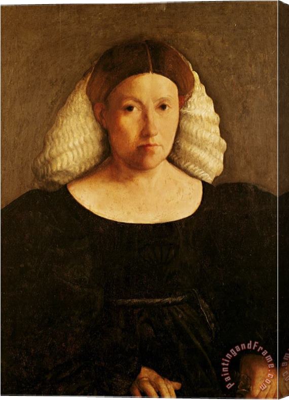 Dosso Dossi Portrait of a Woman with a White Hairnet Stretched Canvas Painting / Canvas Art