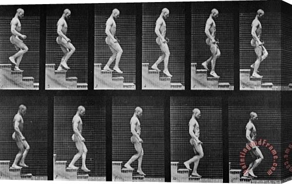 Eadweard Muybridge Man Descending Stairs Stretched Canvas Painting / Canvas Art