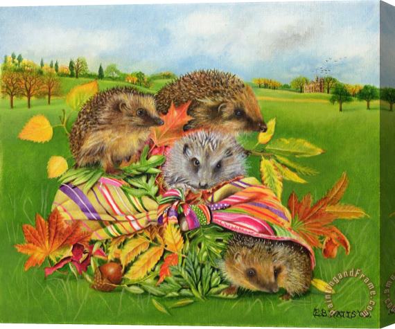 EB Watts Hedgehogs Inside Scarf Stretched Canvas Painting / Canvas Art