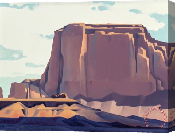 Ed Mell Shadows on The Desert Floor Stretched Canvas Print / Canvas Art