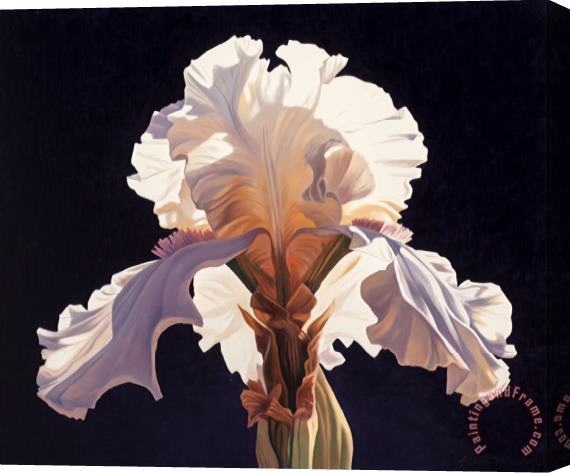 Ed Mell Symmetrical Iris, 1994 Stretched Canvas Painting / Canvas Art