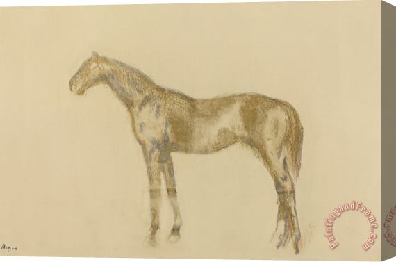 Edgar Degas Horse Stretched Canvas Print / Canvas Art
