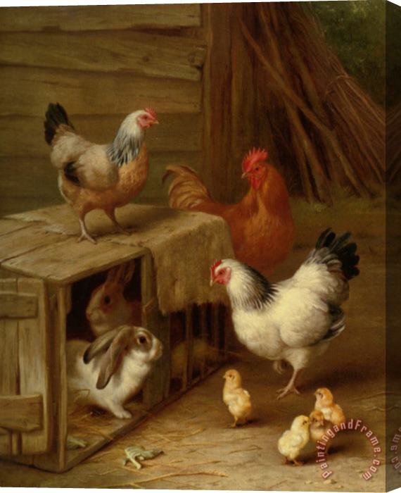 Edgar Hunt Cockerel Hens Chicks And Rabbit Stretched Canvas Painting / Canvas Art