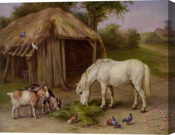 Edgar Hunt Pony And Goats in a Farmyard Stretched Canvas Print / Canvas Art