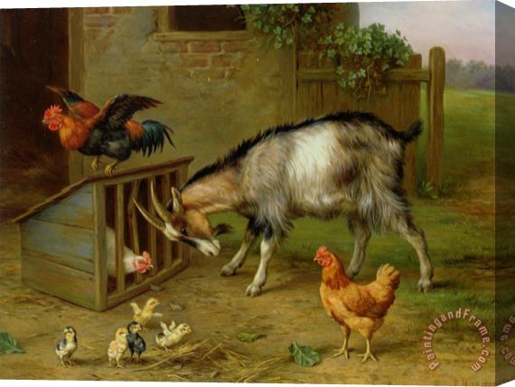 Edgar Hunt The Intruder Stretched Canvas Painting / Canvas Art