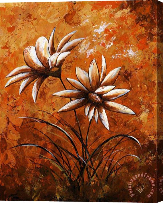 Edit Voros My flowers - Asters Stretched Canvas Painting / Canvas Art