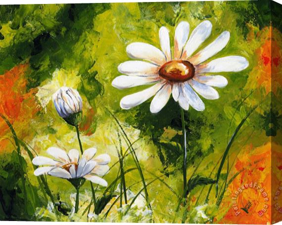 Edit Voros My flowers - Margherite Stretched Canvas Painting / Canvas Art