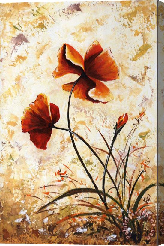 Edit Voros My flowers - Rust Poppies 2 Stretched Canvas Painting / Canvas Art