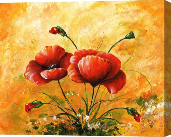Edit Voros My poppies Stretched Canvas Painting / Canvas Art