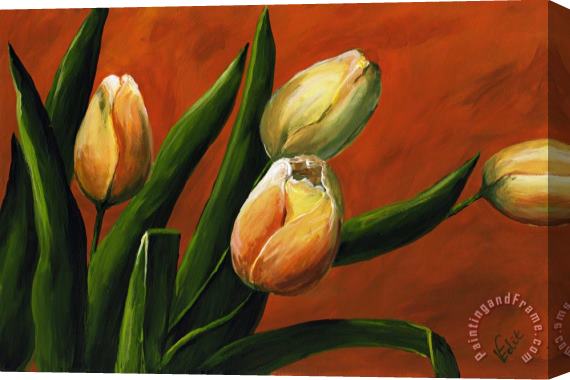 Edit Voros Tulips Stretched Canvas Print / Canvas Art