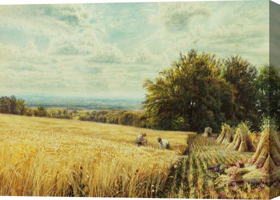Edmund George Warren The Harvesters Stretched Canvas Print / Canvas Art