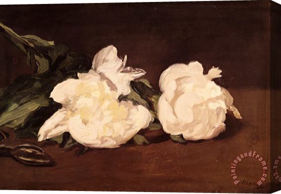 Edouard Manet Branch of White Peonies And Secateurs Stretched Canvas Painting / Canvas Art
