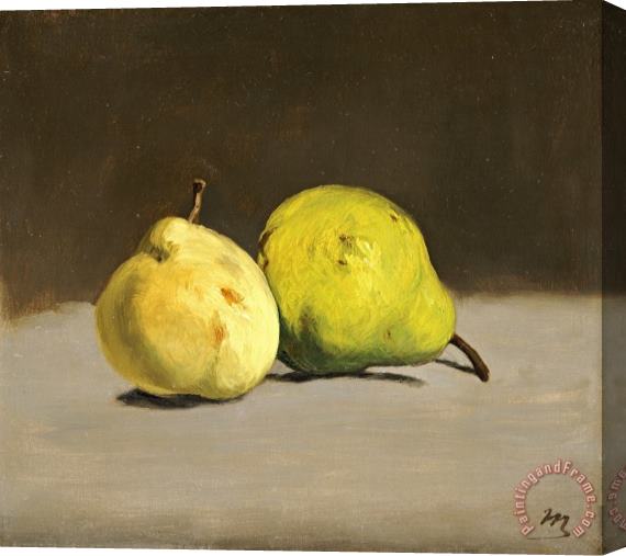 Edouard Manet Deux Poires Stretched Canvas Print / Canvas Art
