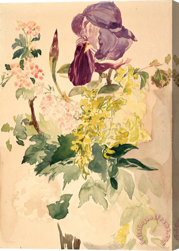 Edouard Manet Flower Piece with Iris, Laburnum, And Geranium, 1880 Stretched Canvas Print / Canvas Art