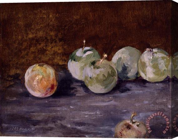 Edouard Manet Plums Stretched Canvas Print / Canvas Art