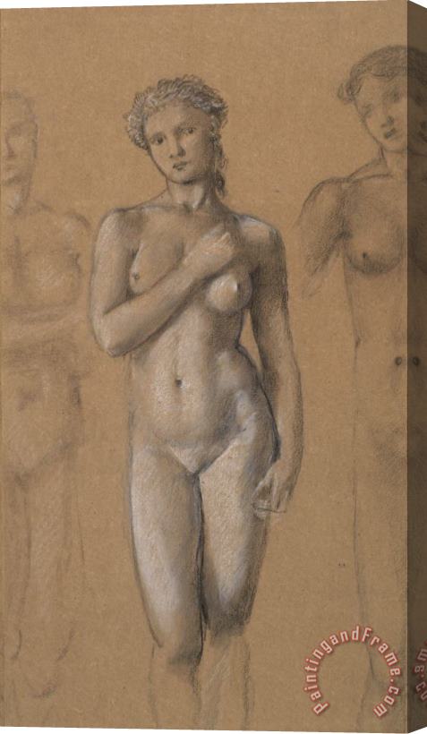 Edward Burne Jones Female Nude Stretched Canvas Painting / Canvas Art
