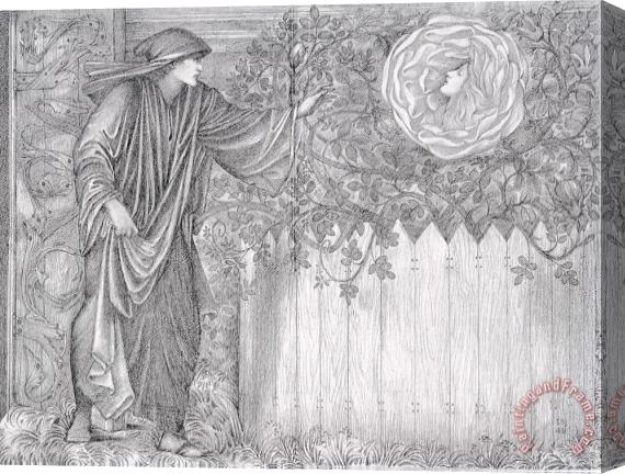 Edward Burne Jones Romaunt of The Rose The Heart of The Rose Stretched Canvas Painting / Canvas Art