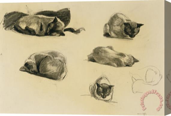 Edward Hopper Cat Study Stretched Canvas Print / Canvas Art