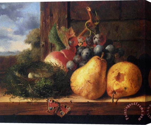Edward Ladell Still Life with a Birds Nest And Fruit Stretched Canvas Print / Canvas Art