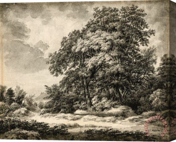 Edward Lear Forest Landscape Stretched Canvas Print / Canvas Art