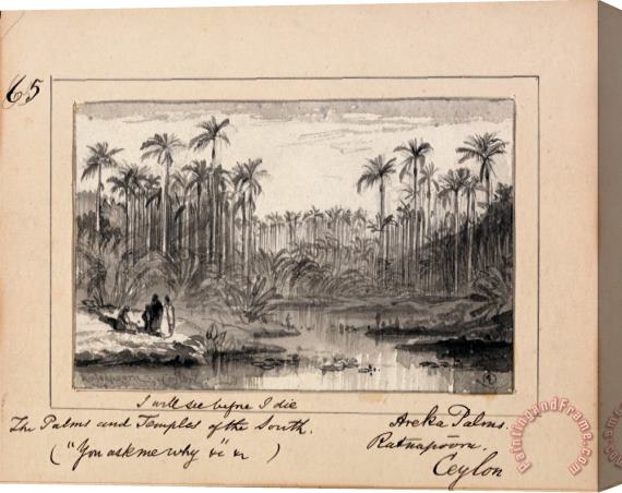 Edward Lear Illustration to Tennyson's You Ask Me Why Areka Palms, Ratanapooru, Ceylon Stretched Canvas Painting / Canvas Art