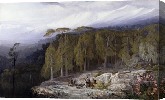 Edward Lear The Forest of Valdoniello - Corsica Stretched Canvas Painting / Canvas Art