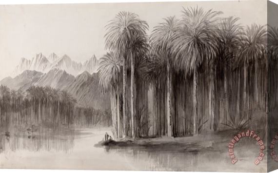 Edward Lear Wady Feiran, Peninsula of Mt. Sinai Stretched Canvas Print / Canvas Art