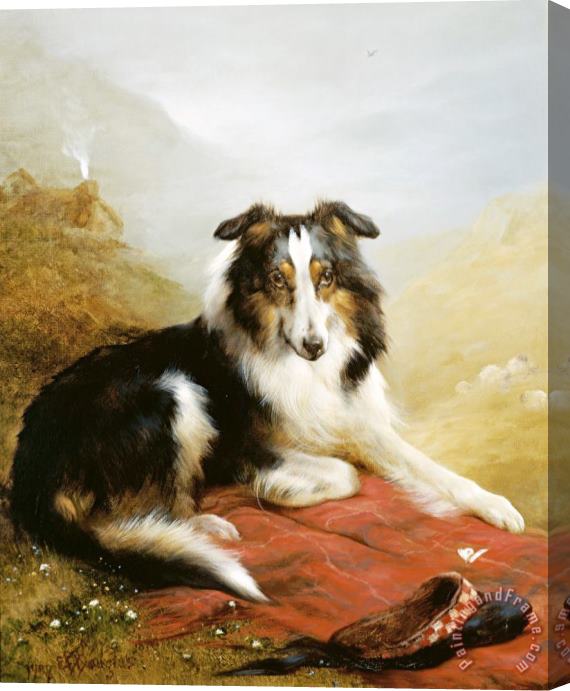Edwin Douglas A Collie, The Guardian of The Flock Stretched Canvas Painting / Canvas Art