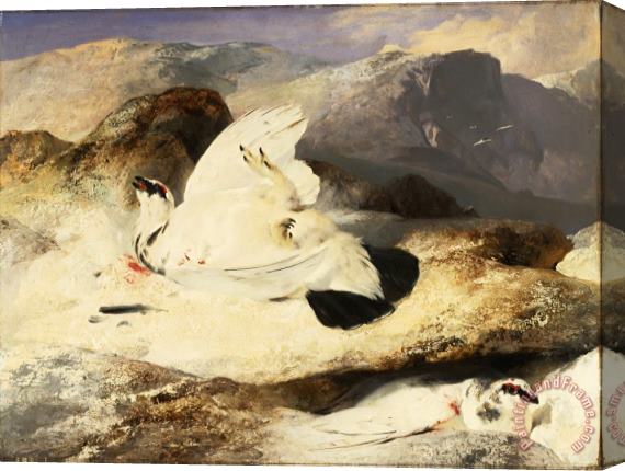 Edwin Landseer Ptarmigan in a Landscape Stretched Canvas Painting / Canvas Art
