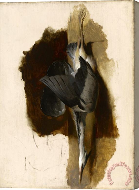 Edwin Landseer Study of a Dead Heron Stretched Canvas Print / Canvas Art