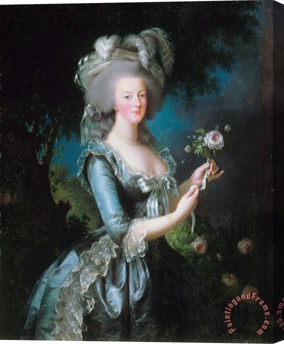 Elisabeth Louise Vigee Lebrun Marie Antoinette with The Rose Stretched Canvas Print / Canvas Art