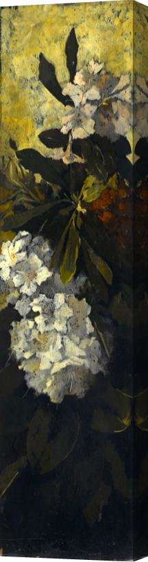 Elizabeth Boott Duveneck Rhododendrons 2 Stretched Canvas Print / Canvas Art